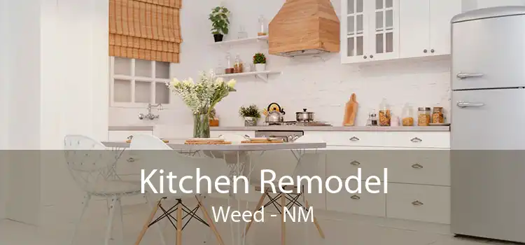 Kitchen Remodel Weed - NM