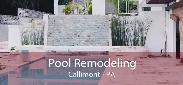 Pool Remodeling Callimont - PA