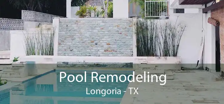 Pool Remodeling Longoria - TX