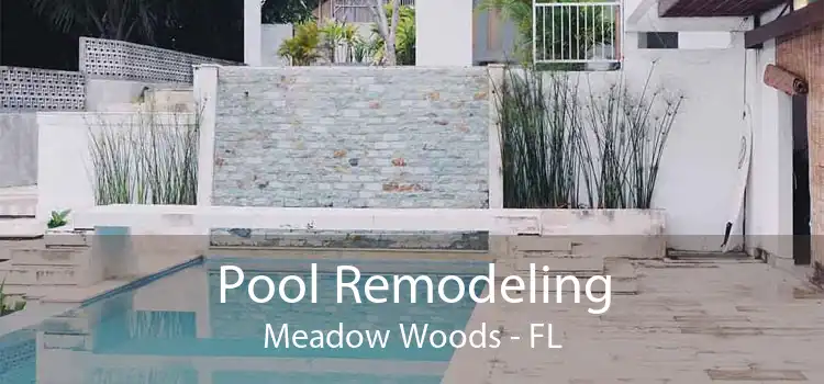 Pool Remodeling Meadow Woods - FL