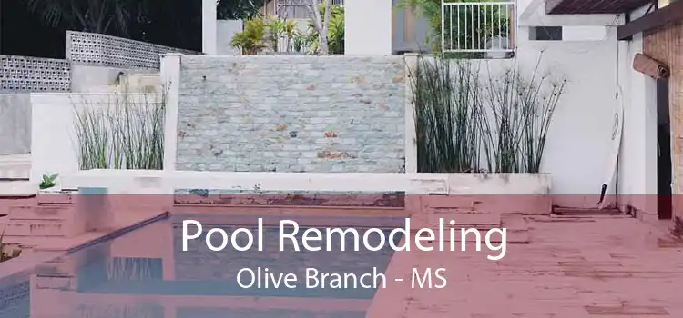 Pool Remodeling Olive Branch - MS