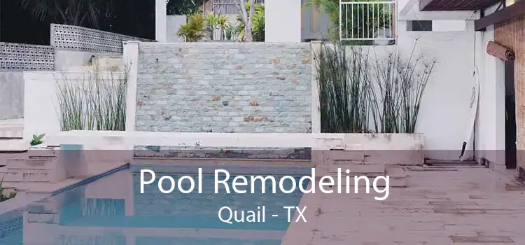 Pool Remodeling Quail - TX