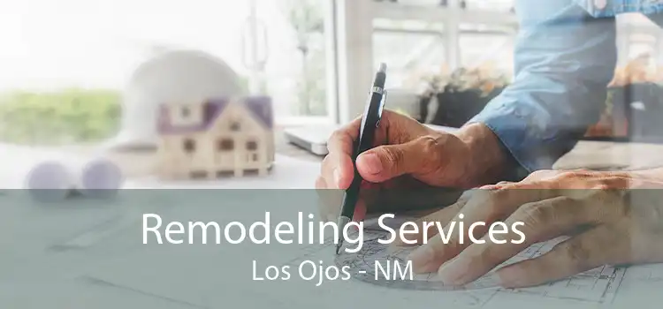 Remodeling Services Los Ojos - NM