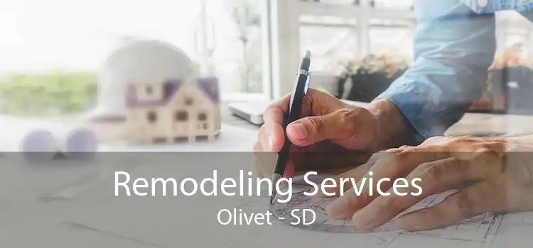 Remodeling Services Olivet - SD