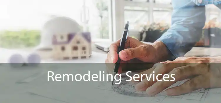 Remodeling Services 