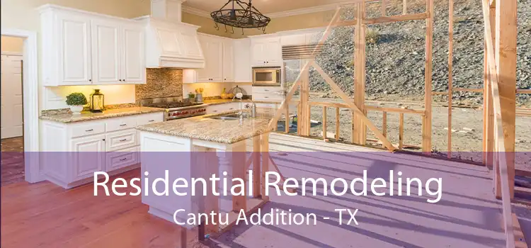 Residential Remodeling Cantu Addition - TX
