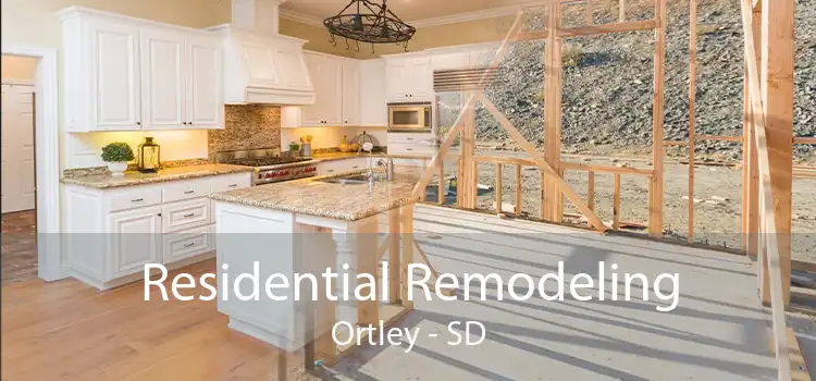 Residential Remodeling Ortley - SD